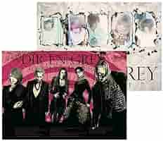 DIR EN GREY ポスター B2 両面印刷 Amazon.co.jp: DIR EN GREY ポスター B2 両面印刷 : おもちゃ